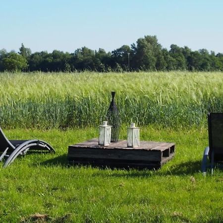 La Case A Jane, Gite Familial En Pays Tarnais Coufouleux Экстерьер фото