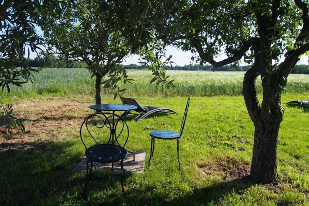 La Case A Jane, Gite Familial En Pays Tarnais Coufouleux Экстерьер фото