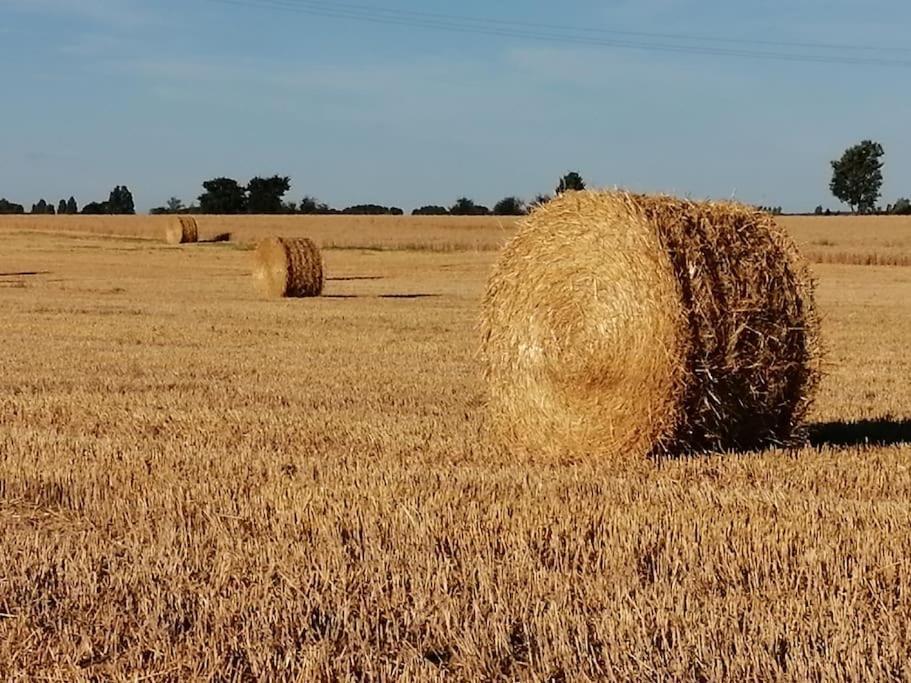 La Case A Jane, Gite Familial En Pays Tarnais Coufouleux Экстерьер фото